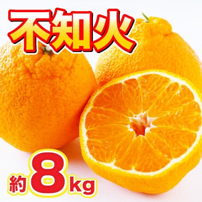 不知火 約8kg(和水町)