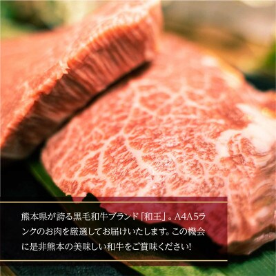 熊本県産 黒毛和牛 和王 ヒレステーキ600g(和水町)