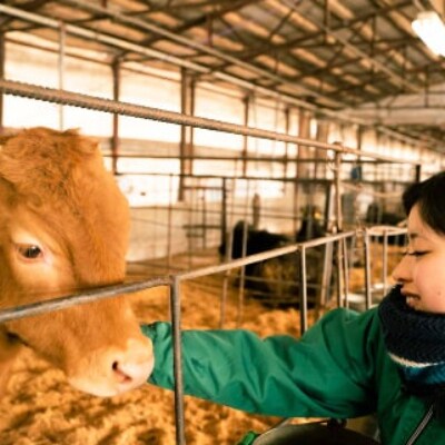 熊本県産 黒毛和牛 和王 サーロインステーキ1,000g(和水町)