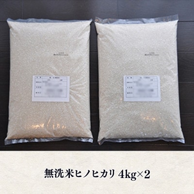 熊本県産　無洗米ひのひかり 8kg(4kg×2袋)