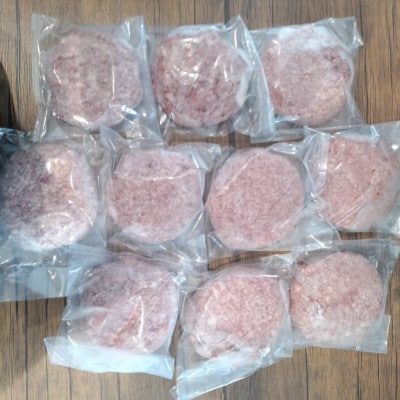 馬肉ハンバーグステーキ　150g×10個(和水町)