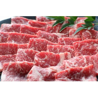 【毎月定期便】【GI認証】くまもとあか牛　焼肉用400g(和水町)全3回