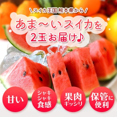 熊本県 和水町産　小玉スイカ 2玉