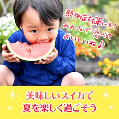 熊本県 和水町産　小玉スイカ 2玉