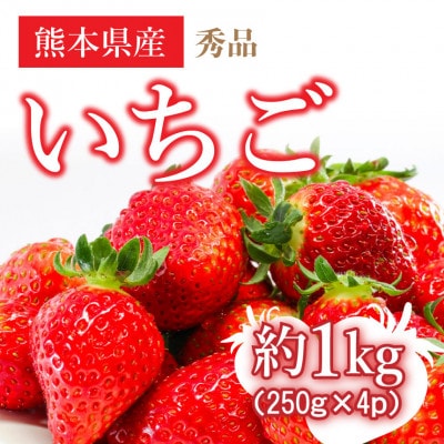 熊本県産 いちご 約1kg (250g×4パック)(和水町)