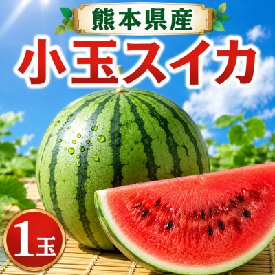 熊本県産　小玉すいか　1玉(和水町)
