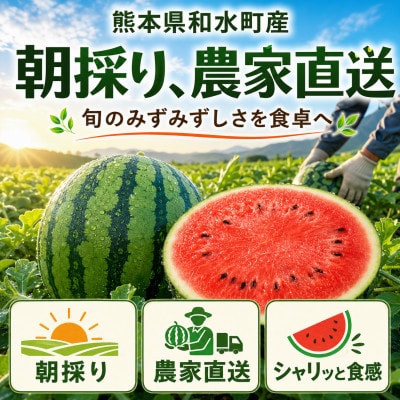 熊本県産　小玉すいか　1玉(和水町)
