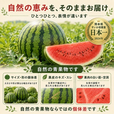 熊本県産　小玉すいか　1玉(和水町)