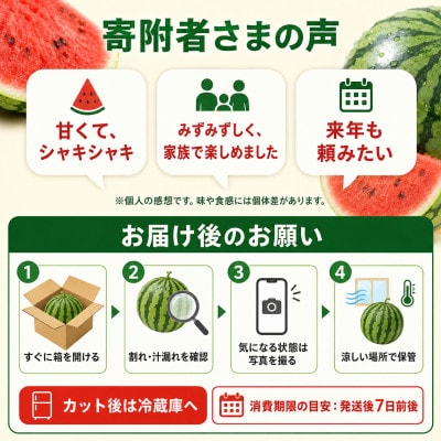 熊本県産　小玉すいか　1玉(和水町)