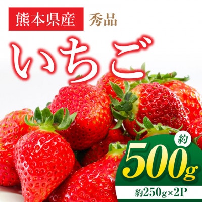熊本県産 いちご 約500g (約250g×2パック)(和水町)