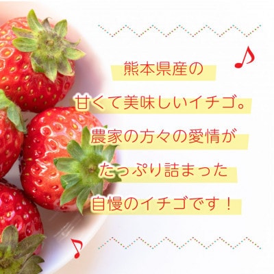 熊本県産 いちご 約500g (約250g×2パック)(和水町)
