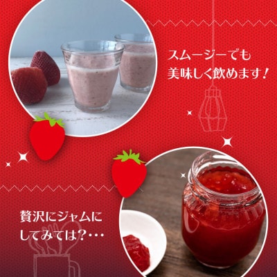 熊本県産 いちご 約500g (約250g×2パック)(和水町)