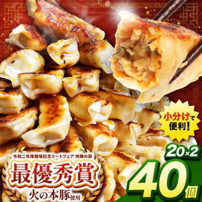 「火の本豚」餃子　20個入り×2パック(和水町)