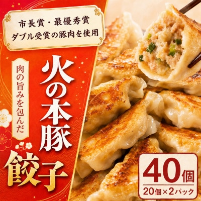 「火の本豚」餃子　20個入り×2パック(和水町)