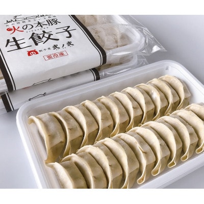 「火の本豚」餃子　20個入り×2パック(和水町)