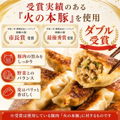 「火の本豚」餃子　20個入り×2パック(和水町)