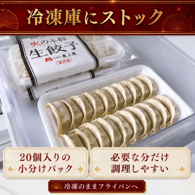 「火の本豚」餃子　20個入り×2パック(和水町)