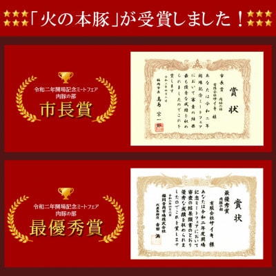 「火の本豚」餃子　20個入り×2パック(和水町)