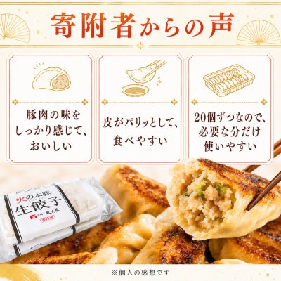 「火の本豚」餃子　20個入り×2パック(和水町)