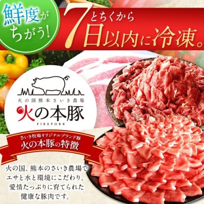 「火の本豚」餃子　20個入り×6パック(和水町)