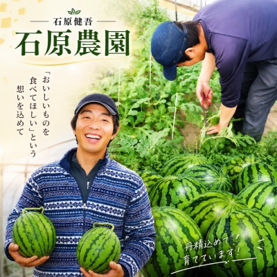 【先行予約】農家厳選!旬の朝どれ 熊本県和水町産 小玉すいか2玉(1玉約2kg)(和水町)