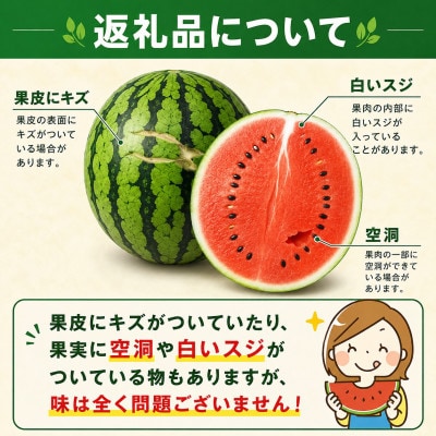 【先行予約】農家厳選!旬の朝どれ 熊本県和水町産 小玉すいか2玉(1玉約2kg)(和水町)