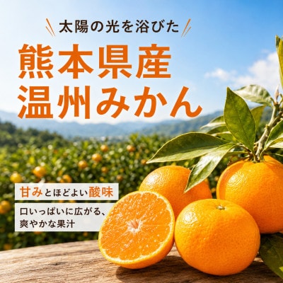 【大人気】訳あり 熊本 みかん 計3kg 家庭用