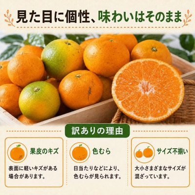 【大人気】訳あり 熊本 みかん 計3kg 家庭用