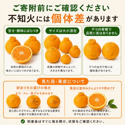 【人気柑橘】熊本県産　不知火 約10kg
