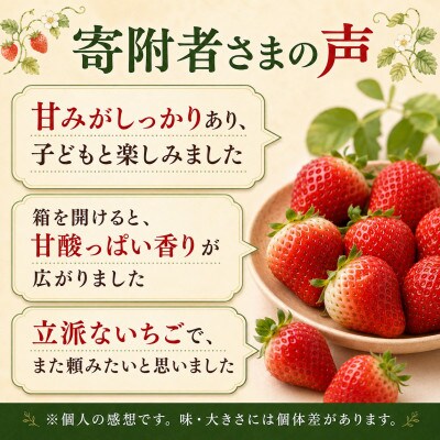 【注目のいちご】熊本県産 いちご 2000g(和水町)
