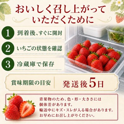 【注目のいちご】熊本県産 いちご 2000g(和水町)