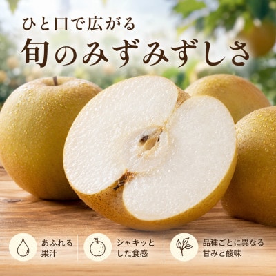 【地元で好評】熊本県産 旬の梨 品種おまかせ 3kg