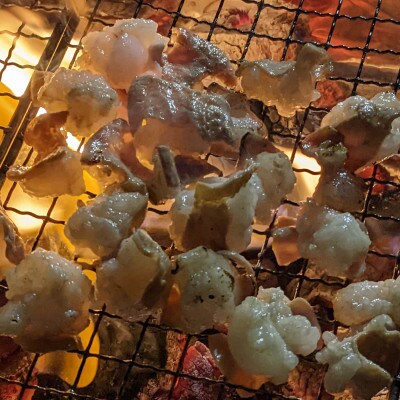 熊本県産あか牛　小腸　白ホルモン　1kg(250g×4袋)(和水町)
