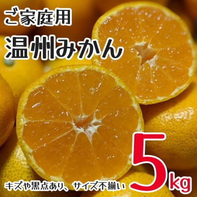 訳あり　家庭用　温州みかん　約5kg　不揃い　(和水町)