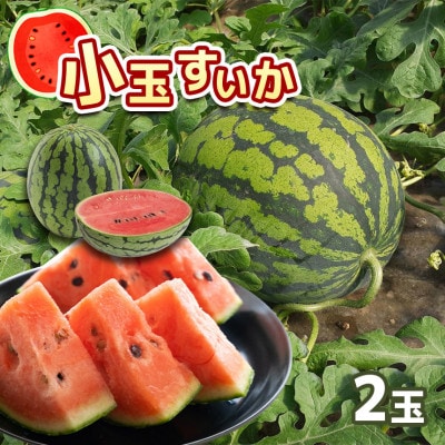小玉スイカ　2玉セット(和水町)