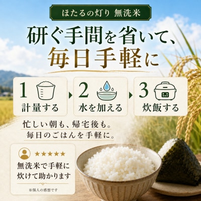 【令和7年産】熊本県産 ほたるの灯り 無洗米 5kg
