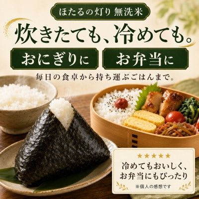 【令和7年産】熊本県産 ほたるの灯り 無洗米 10kg