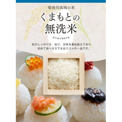 【新米予約 令和7年産】熊本県産 ほたるの灯り 無洗米 20kg
