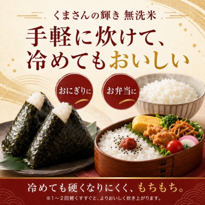 【令和7年産】熊本県産 くまさんの輝き 無洗米 5kg