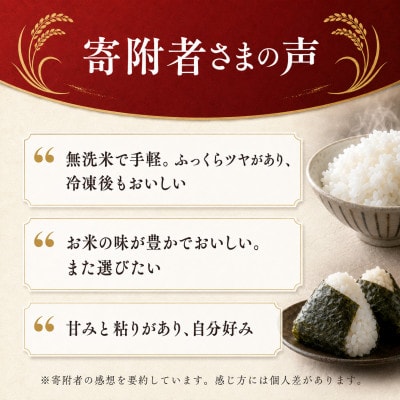 【令和7年産】熊本県産 くまさんの輝き 無洗米 5kg