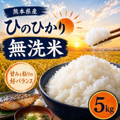 【令和7年産】熊本県産 ひのひかり 無洗米 5kg