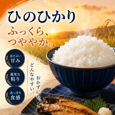 【令和7年産】熊本県産 ひのひかり 無洗米 10kg