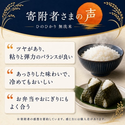 【令和7年産】熊本県産 ひのひかり 無洗米 10kg