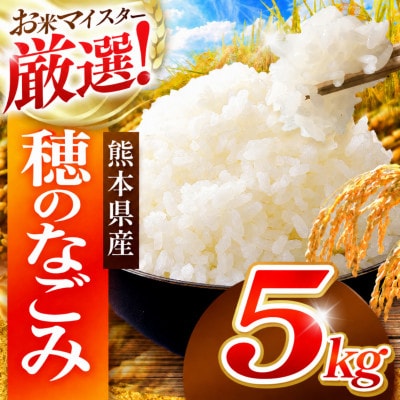 熊本県 穂のなごみ 白米 5kg (ブレンド米)