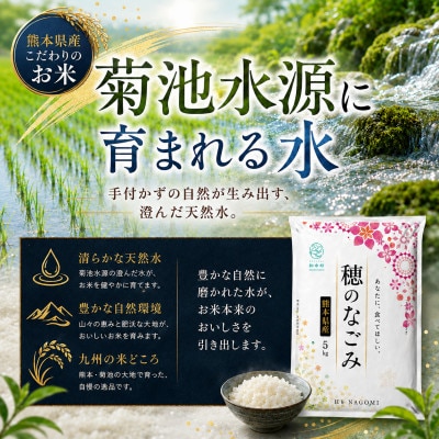 【令和8年産】熊本県産 ほたるの灯り 無洗米 計15kg