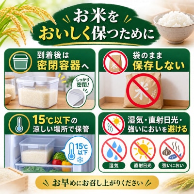 【令和8年産】熊本県産 ほたるの灯り 無洗米 計15kg