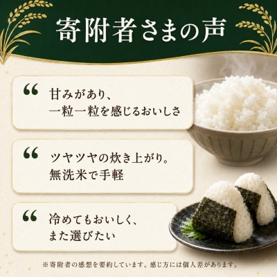 【令和8年産】熊本県産 ほたるの灯り 無洗米 計30kg