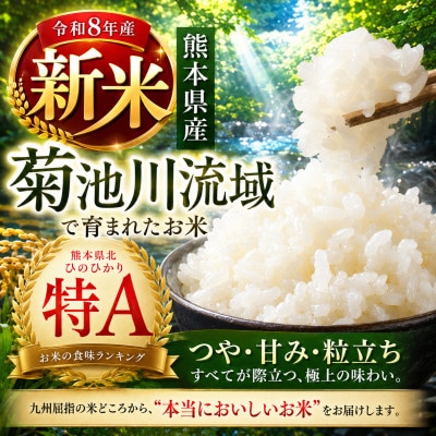 【新米】令和8年産 熊本県産 生活応援米 白米 5kg