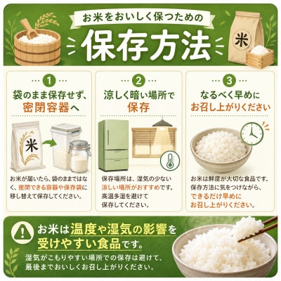 【新米】令和8年産 熊本県産 生活応援米 白米 20kg