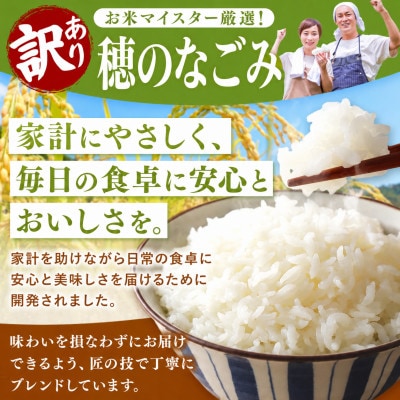 【新米】令和8年産 熊本県産 穂のなごみ 白米 25kg